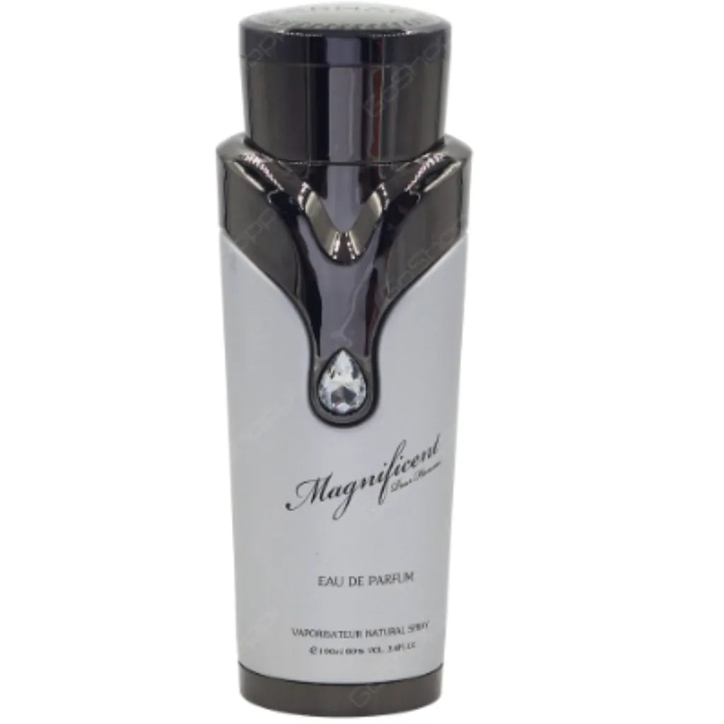 Armaf - Magnificent Pour Homme